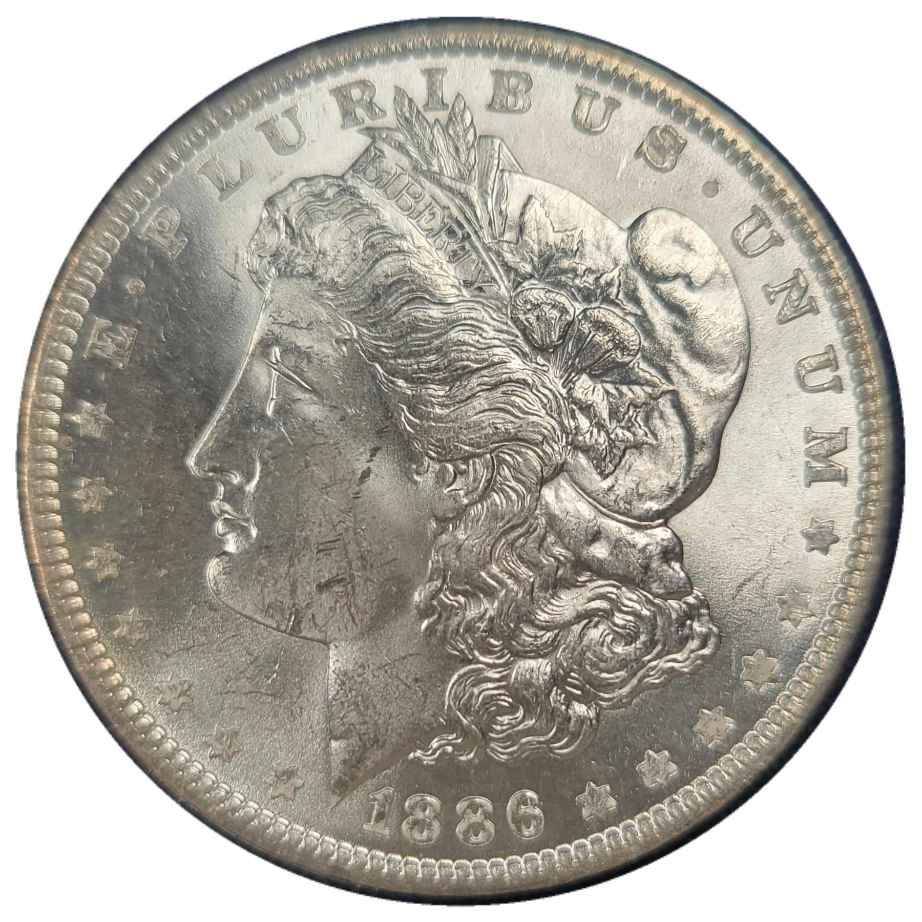 1886-$1-Morgan-Dollar-#14